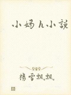 小妈 h小说