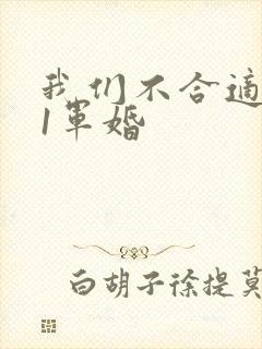 我们不合适1v1军婚