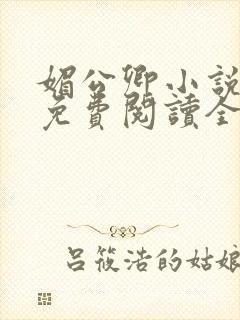 媚公卿小说全文免费阅读全文