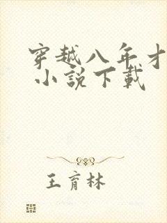穿越八年才出道 小说下载
