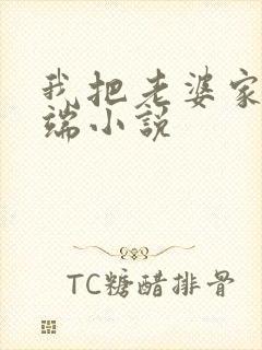 我把老婆家一锅端小说