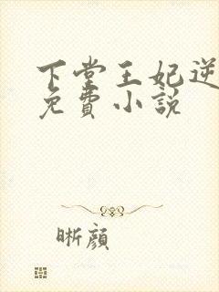 下堂王妃逆袭记免费小说封面
