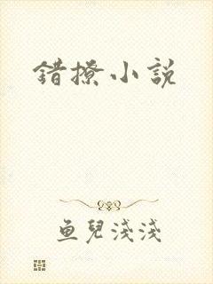 错撩小说
