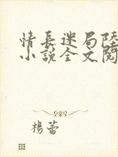 情长迷局陆景辞小说全文阅读