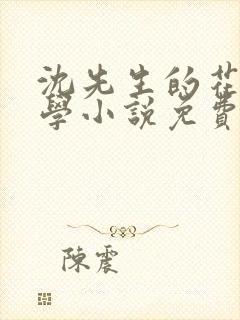 沈先生的花式教学小说免费