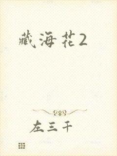藏海花2封面
