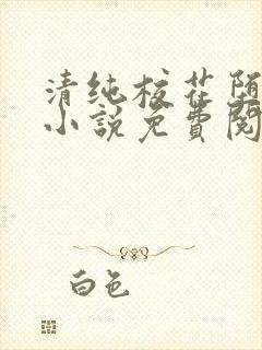 清纯校花堕落记小说免费阅读allimine