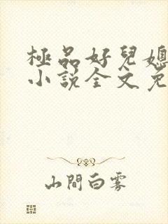极品好儿媳苏媚小说全文免费阅读封面