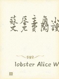 苏辰主角小说全文免费阅读封面