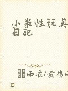小米性玩具羞辱日记