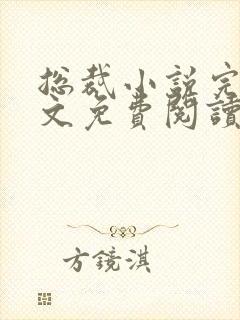总裁小说完结全文免费阅读全文