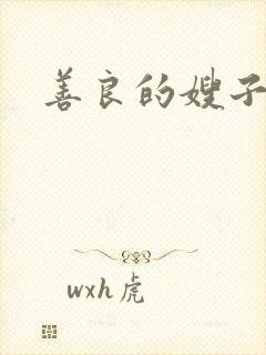 善良的嫂子小说