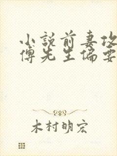 小说前妻攻略:傅先生偏要宠我小说