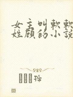 女主叫软软男主姓顾的小说
