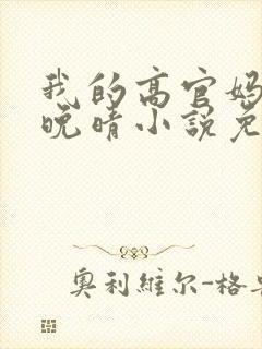 我的高官妈妈苏晚晴小说免费阅读