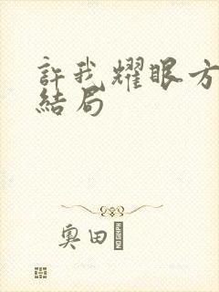 许我耀眼方雷的结局