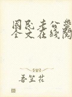 国民老公带回家全文在线阅读封面