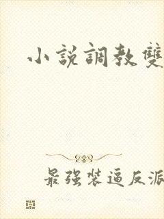 小说调教双男主