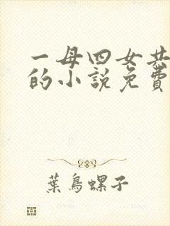 一母四女共一婿的小说免费阅读