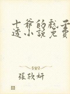十爷的戏子摸不透小说免费阅读