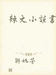 辣文小说书包网封面