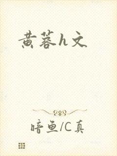 黄蓉h文