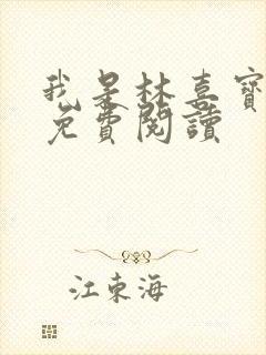 我是林喜宝小说免费阅读