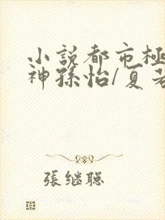 小说都市极品医神孙怡/夏若雪离线下载