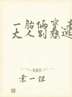 一胎俩宝,老婆大人别想逃原著