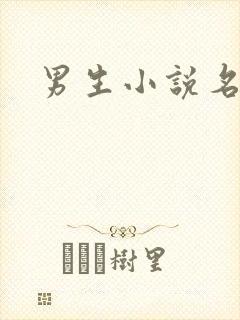 男生小说名字封面