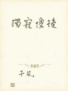 独宠傻后封面