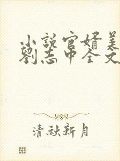 小说官婿美人香刘志中全文免费阅读