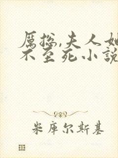 厉总,夫人她罪不至死小说封面