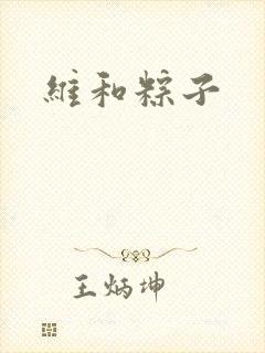 维和粽子
