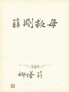 薛刚救母封面