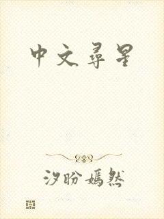 中文寻星