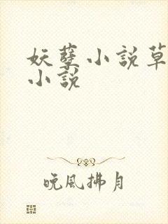妖孽小说草莓酱小说