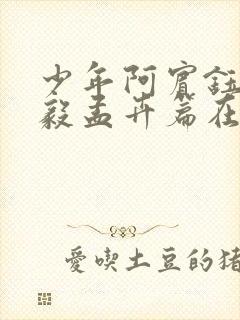 少年阿宾钰慧小毅孟卉篇在线阅读封面