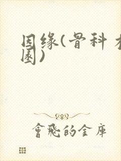 因缘(骨科 校园)封面