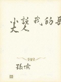 小说 我的岳母大人