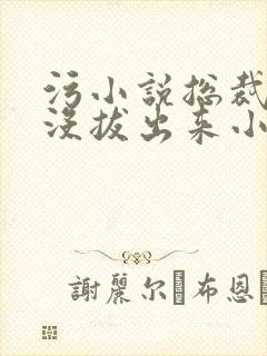 污小说总裁整夜没拔出来小说在线阅读