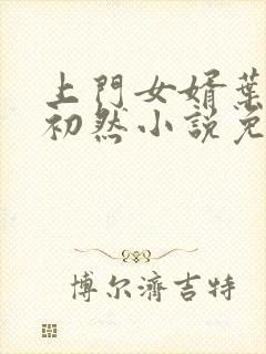 上门女婿叶辰萧初然小说免费读