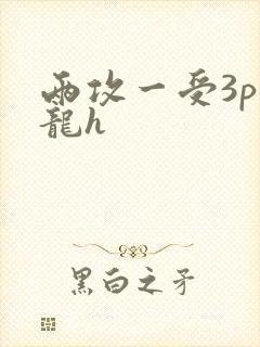 两攻一受3p双龙h
