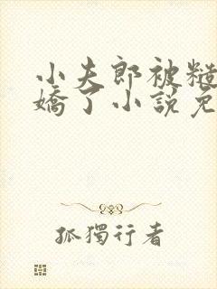 小夫郎被糙汉宠娇了小说免费阅读