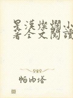 星汉灿烂小说原著全文阅读封面