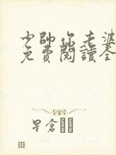 少帅你老婆又跑免费阅读全文