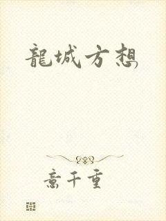 龙城方想封面