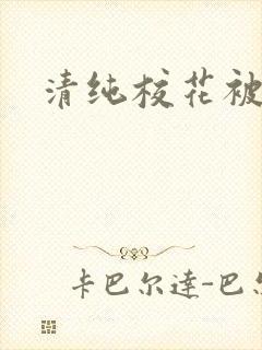 清纯校花被强