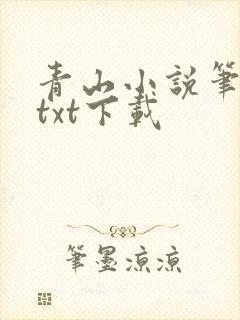青山小说笔趣阁txt下载