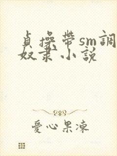 贞操带sm调教奴隶小说封面